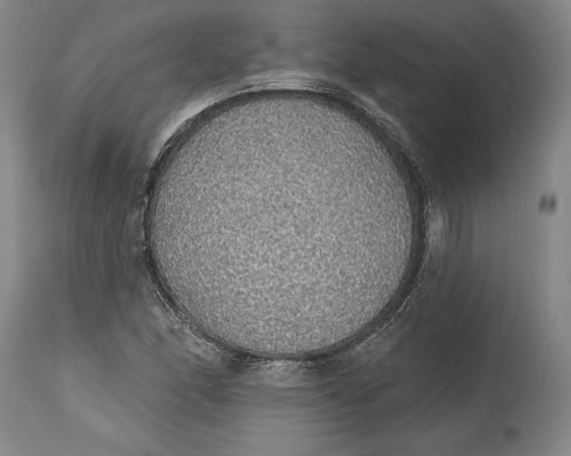 X0000115421166200911171416