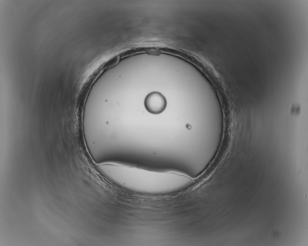 X0000115421167200911171416