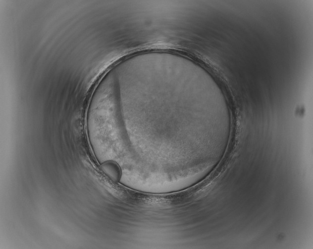 X0000115421170200911171416