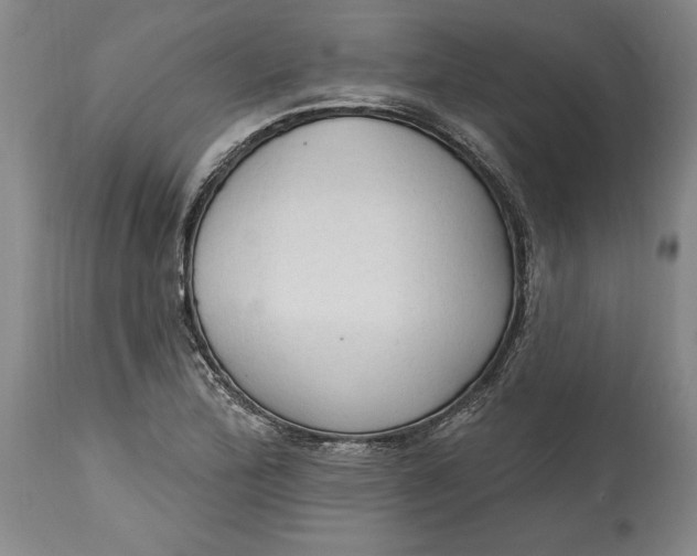 X0000115421172200911171416