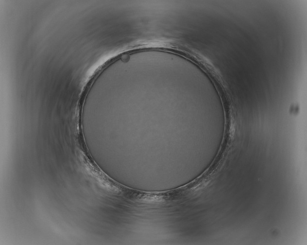 X0000115421174200911171416