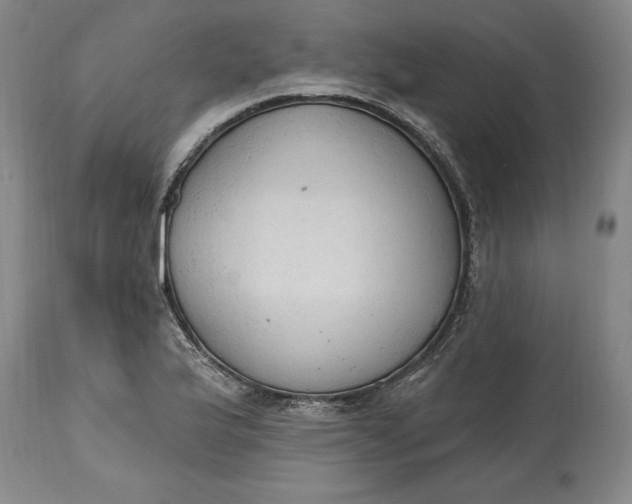 X0000115421175200911171416