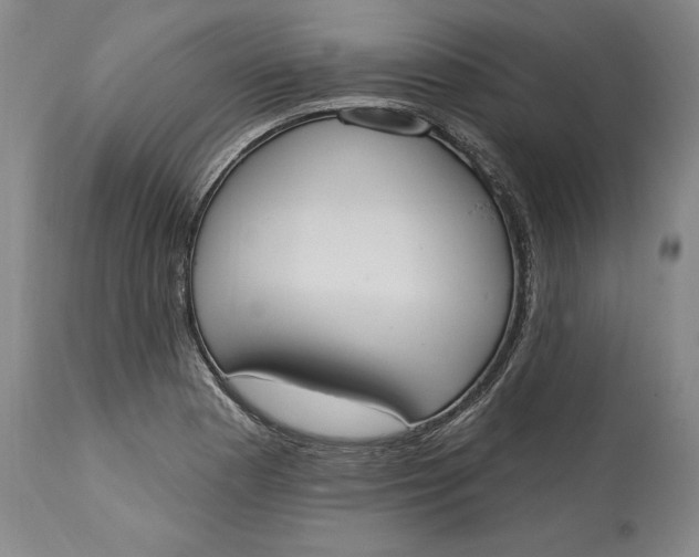 X0000115421177200911171416