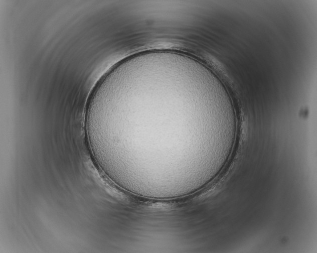 X0000115421178200911171416