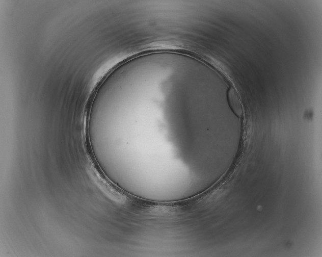 X0000115421179200911171416