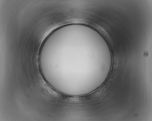 X0000115421182200911171416