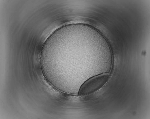 X0000115421185200911171416