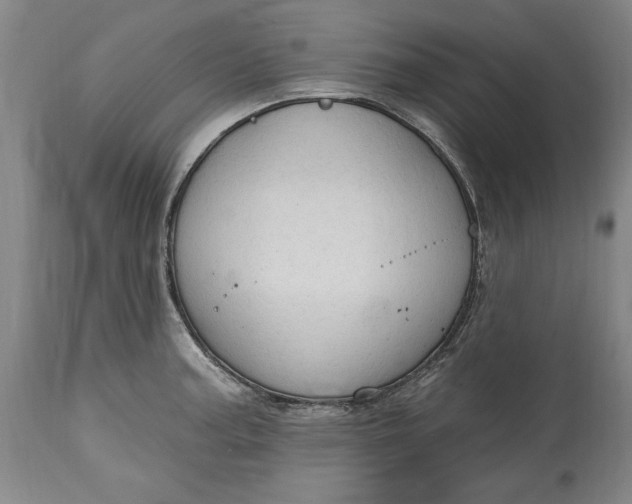 X0000115421187200911171416