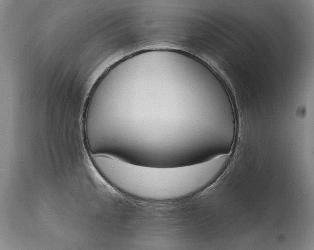 X0000115421189200911171416