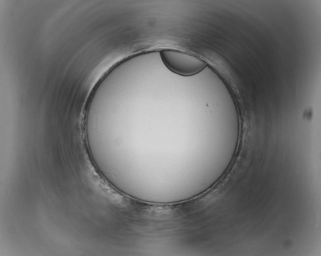 X0000115421190200911171416