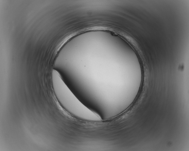 X0000115421193200911171416