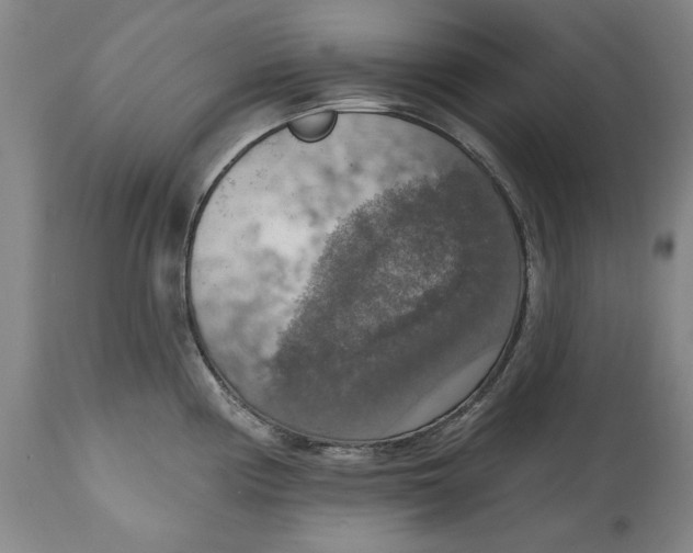 X0000115421194200911171416