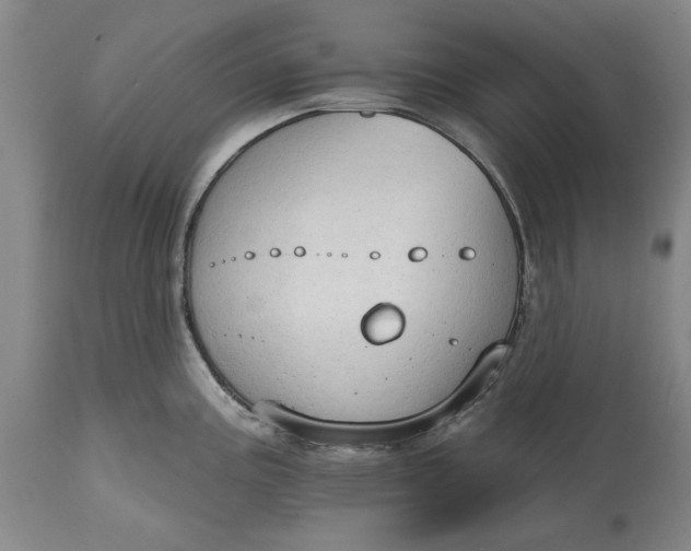 X0000115421195200911171416