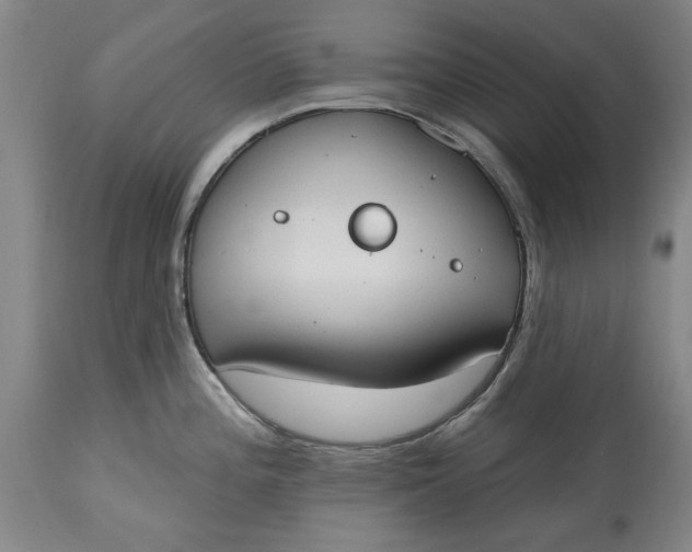X0000115421196200911171416