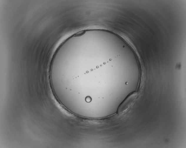 X0000115421197200911171416