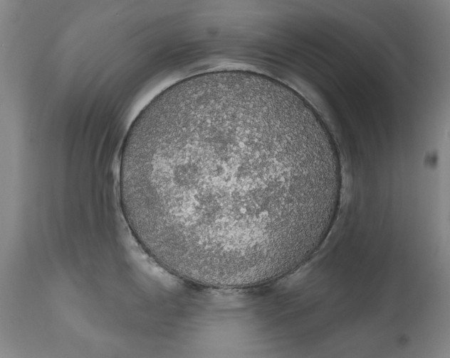 X0000115421198200911171416