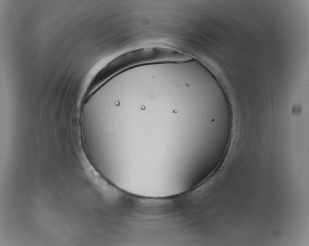 X0000115421200200911171416