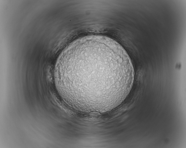 X0000115421202200911171415