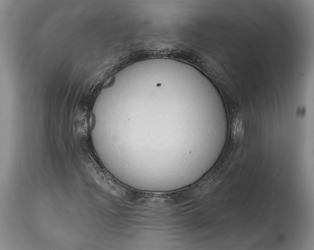 X0000115421204200911171415