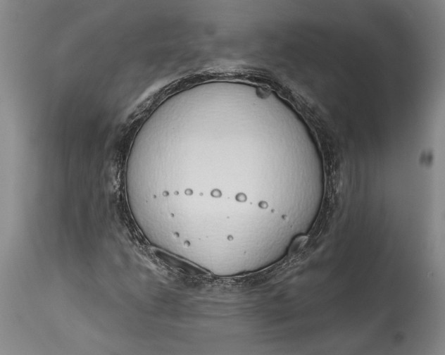 X0000115421206200911171415