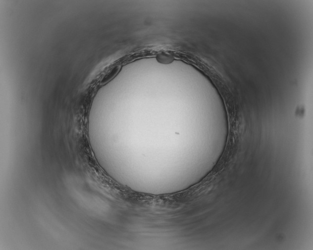 X0000115421207200911171415