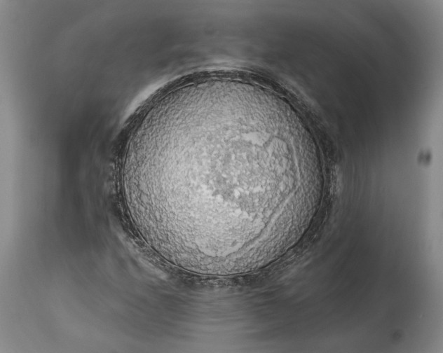 X0000115421208200911171415