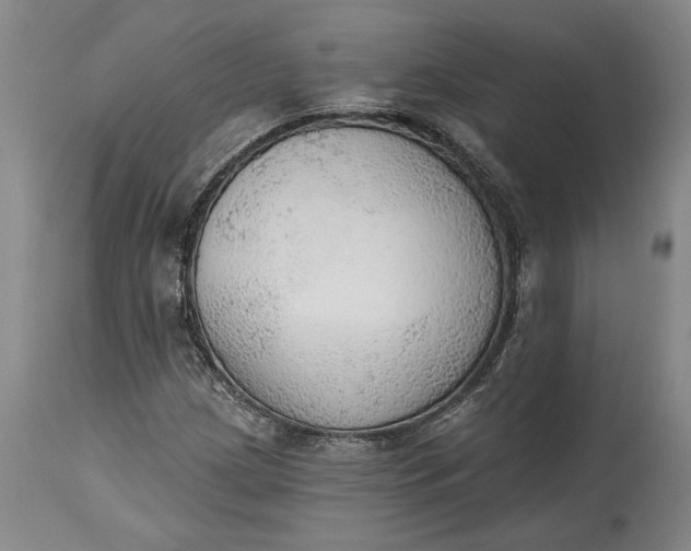 X0000115421209200911171415