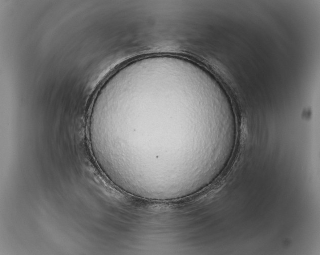 X0000115421212200911171415