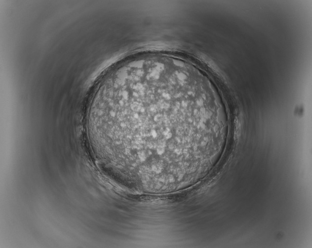 X0000115421213200911171415
