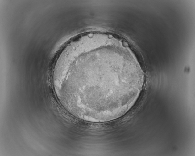 X0000115421215200911171415