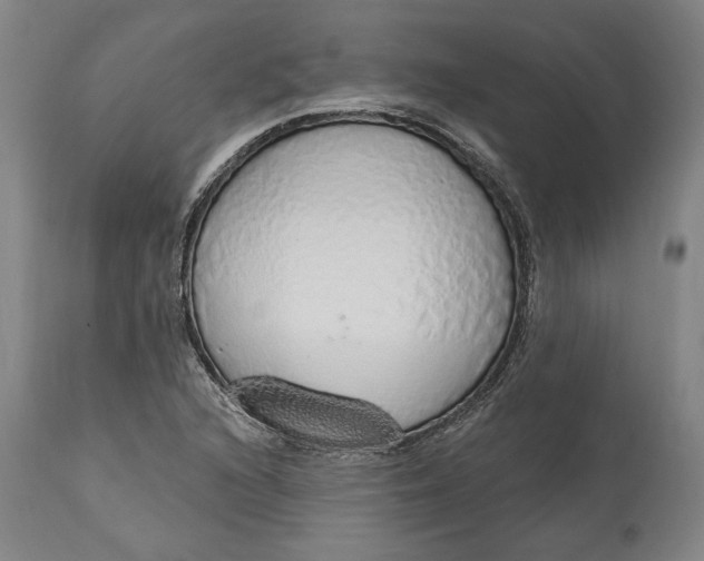 X0000115421216200911171415