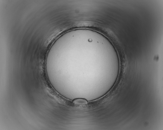 X0000115421217200911171415