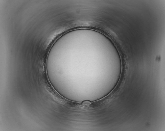 X0000115421218200911171415