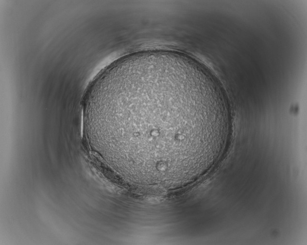 X0000115421219200911171415