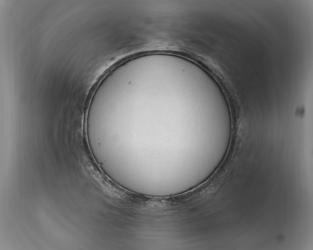 X0000115421220200911171415