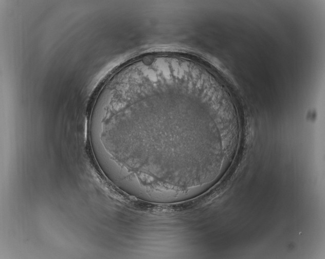X0000115421221200911171415