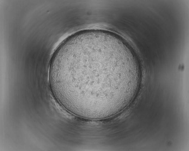 X0000115421224200911171415
