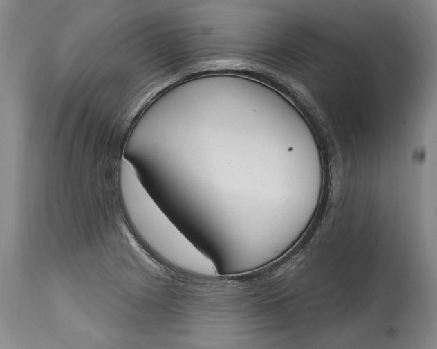 X0000115421225200911171415