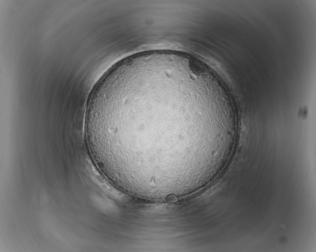 X0000115421228200911171415