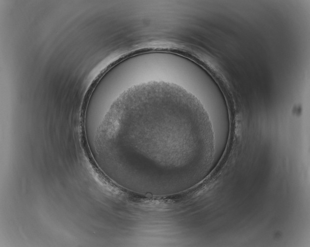 X0000115421229200911171416
