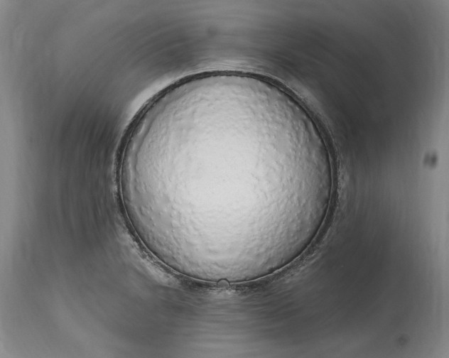 X0000115421230200911171416