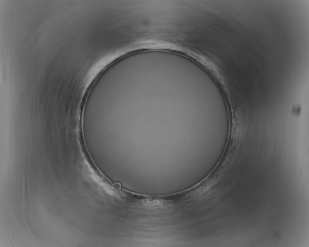 X0000115421231200911171416