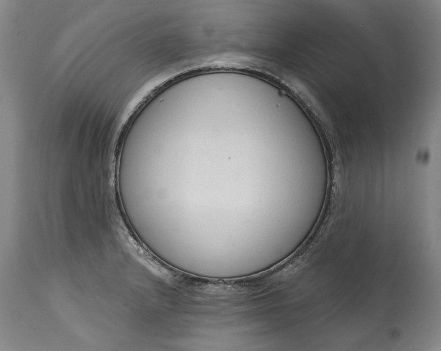 X0000115421232200911171416