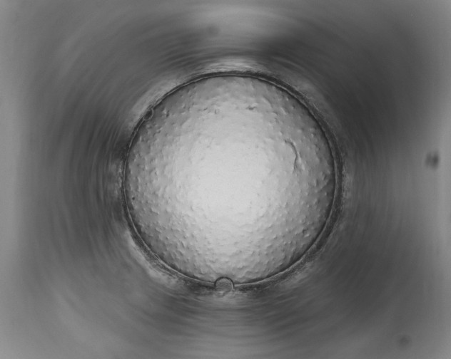 X0000115421233200911171416