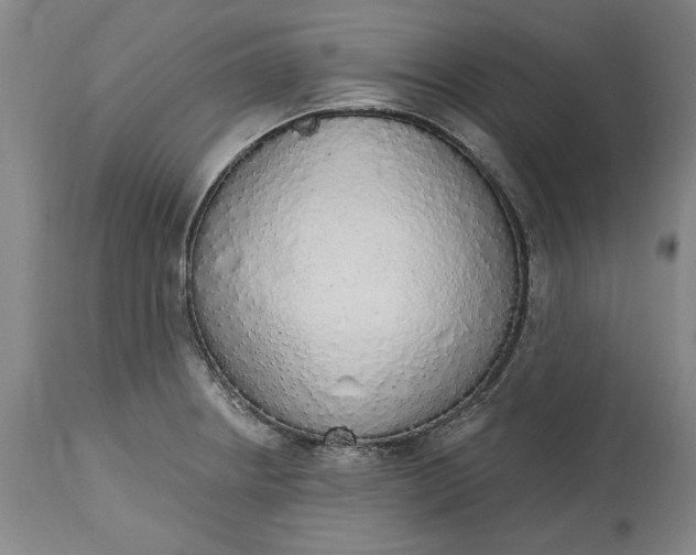 X0000115421234200911171416