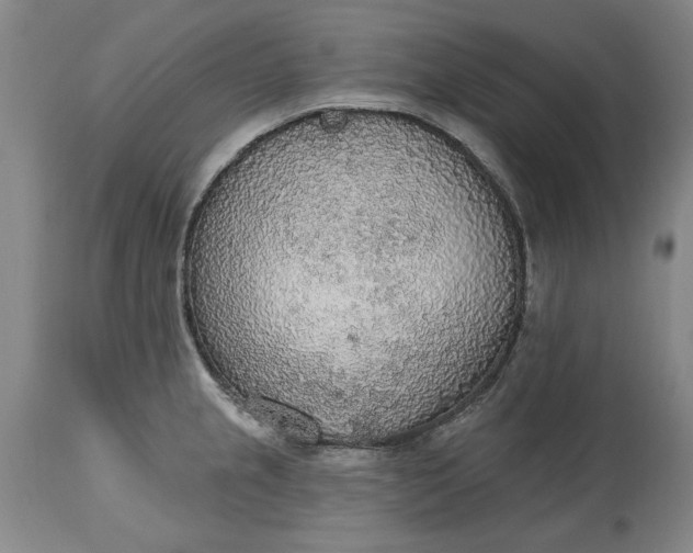 X0000115421237200911171416