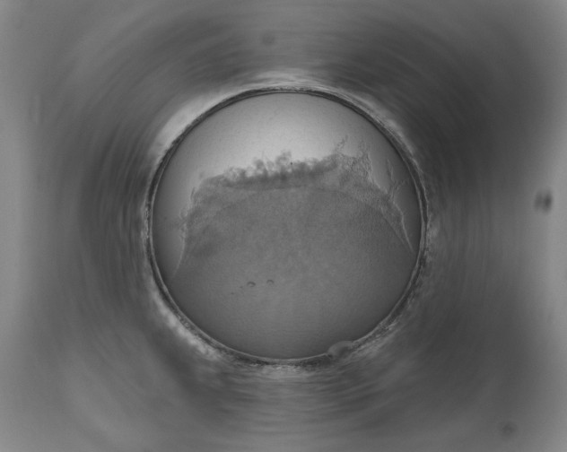 X0000115421239200911171416