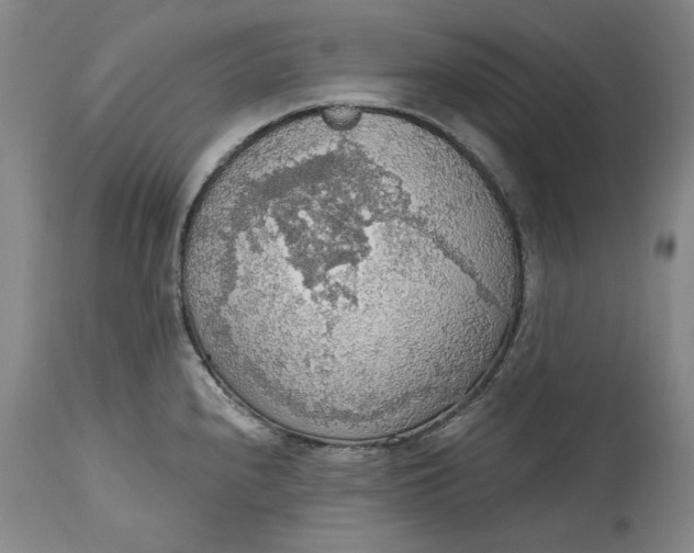 X0000115421240200911171416