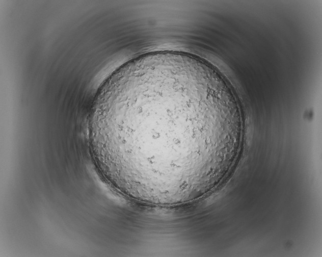 X0000115421241200911171416