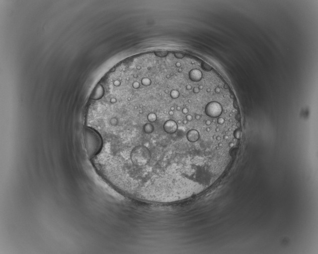 X0000115421243200911171416